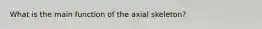 What is the main function of the axial skeleton?