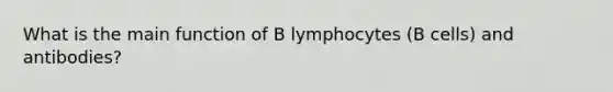 What is the main function of B lymphocytes (B cells) and antibodies?