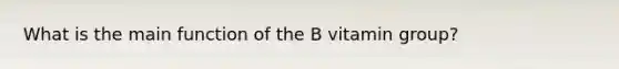 What is the main function of the B vitamin group?