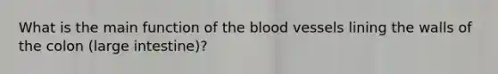 What is the main function of the blood vessels lining the walls of the colon (large intestine)?