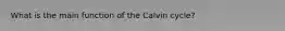 What is the main function of the Calvin cycle?