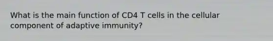 What is the main function of CD4 T cells in the cellular component of adaptive immunity?