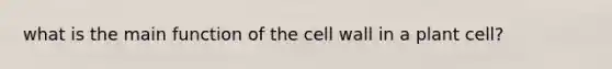 what is the main function of the cell wall in a plant cell?