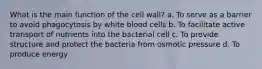 What is the main function of the cell wall? a. To serve as a barrier to avoid phagocytosis by white blood cells b. To facilitate active transport of nutrients into the bacterial cell c. To provide structure and protect the bacteria from osmotic pressure d. To produce energy