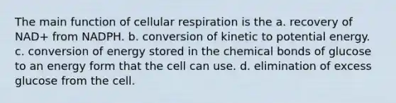 The main function of cellular respiration is the a. recovery of NAD+ from NADPH. b. conversion of kinetic to potential energy. c. conversion of energy stored in the chemical bonds of glucose to an energy form that the cell can use. d. elimination of excess glucose from the cell.