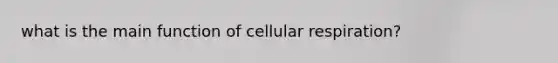 what is the main function of cellular respiration?