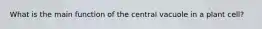 What is the main function of the central vacuole in a plant cell?