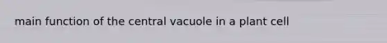 main function of the central vacuole in a plant cell