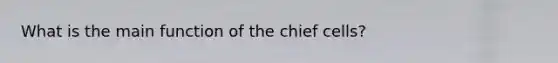 What is the main function of the chief cells?