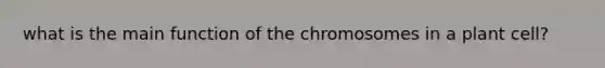 what is the main function of the chromosomes in a plant cell?