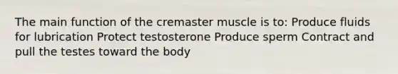 The main function of the cremaster muscle is to: Produce fluids for lubrication Protect testosterone Produce sperm Contract and pull the testes toward the body