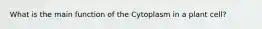 What is the main function of the Cytoplasm in a plant cell?