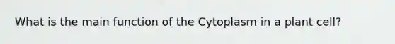 What is the main function of the Cytoplasm in a plant cell?