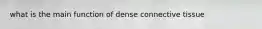 what is the main function of dense connective tissue
