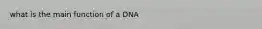 what is the main function of a DNA