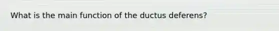 What is the main function of the ductus deferens?