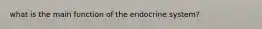 what is the main function of the endocrine system?