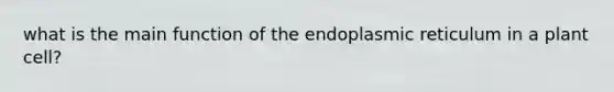 what is the main function of the endoplasmic reticulum in a plant cell?