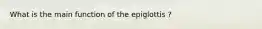 What is the main function of the epiglottis ?