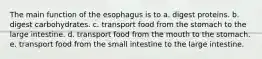 The main function of the esophagus is to a. digest proteins. b. digest carbohydrates. c. transport food from the stomach to the large intestine. d. transport food from the mouth to the stomach. e. transport food from the small intestine to the large intestine.