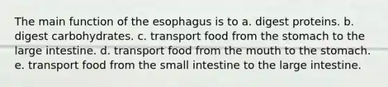 The main function of <a href='https://www.questionai.com/knowledge/kSjVhaa9qF-the-esophagus' class='anchor-knowledge'>the esophagus</a> is to a. digest proteins. b. digest carbohydrates. c. transport food from <a href='https://www.questionai.com/knowledge/kLccSGjkt8-the-stomach' class='anchor-knowledge'>the stomach</a> to the large intestine. d. transport food from <a href='https://www.questionai.com/knowledge/krBoWYDU6j-the-mouth' class='anchor-knowledge'>the mouth</a> to the stomach. e. transport food from the small intestine to the large intestine.