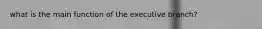 what is the main function of the executive branch?