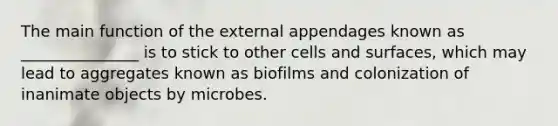 The main function of the external appendages known as _______________ is to stick to other cells and surfaces, which may lead to aggregates known as biofilms and colonization of inanimate objects by microbes.