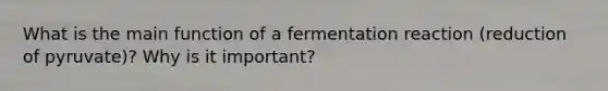 What is the main function of a fermentation reaction (reduction of pyruvate)? Why is it important?