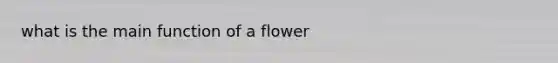 what is the main function of a flower