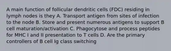 A main function of follicular dendritic cells (FDC) residing in lymph nodes is they A. Transport antigen from sites of infection to the node B. Store and present numerous antigens to support B cell maturation/activation C. Phagocytose and process peptides for MHC I and II presentation to T cells D. Are the primary controllers of B cell Ig class switching