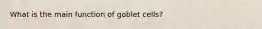 What is the main function of goblet cells?