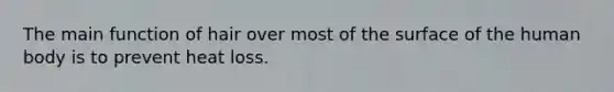 The main function of hair over most of the surface of the human body is to prevent heat loss.