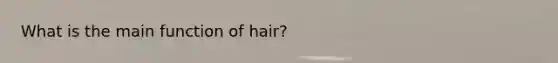 What is the main function of hair?