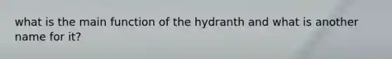 what is the main function of the hydranth and what is another name for it?