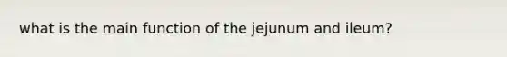 what is the main function of the jejunum and ileum?