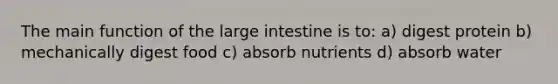 The main function of the large intestine is to: a) digest protein b) mechanically digest food c) absorb nutrients d) absorb water