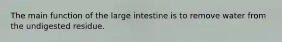 The main function of the large intestine is to remove water from the undigested residue.