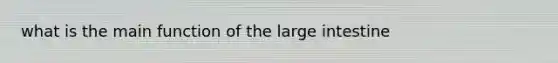 what is the main function of the large intestine