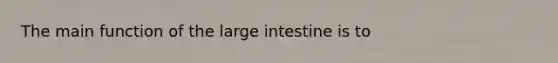 The main function of the large intestine is to