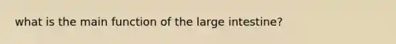 what is the main function of the <a href='https://www.questionai.com/knowledge/kGQjby07OK-large-intestine' class='anchor-knowledge'>large intestine</a>?