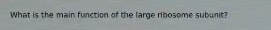 What is the main function of the large ribosome subunit?