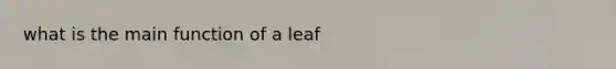 what is the main function of a leaf