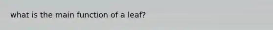 what is the main function of a leaf?