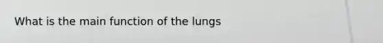 What is the main function of the lungs