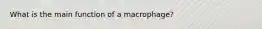 What is the main function of a macrophage?