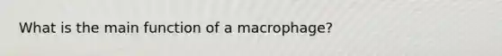 What is the main function of a macrophage?