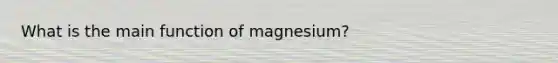 What is the main function of magnesium?