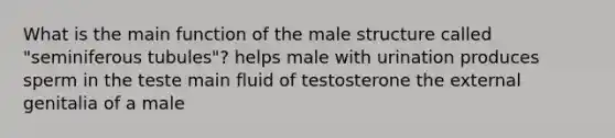 What is the main function of the male structure called "seminiferous tubules"? helps male with urination produces sperm in the teste main fluid of testosterone the external genitalia of a male