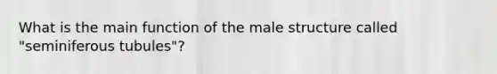 What is the main function of the male structure called "seminiferous tubules"?