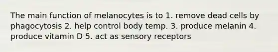 The main function of melanocytes is to 1. remove dead cells by phagocytosis 2. help control body temp. 3. produce melanin 4. produce vitamin D 5. act as sensory receptors